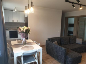 Spacious apartment in Saulkrasti in Saulkrasti